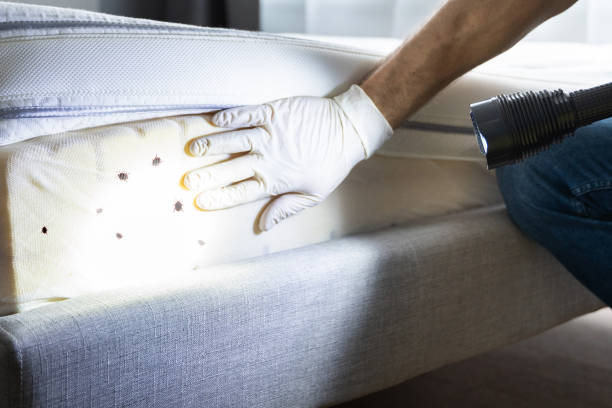 Best Termite Control Services  in Pleasantville, NJ