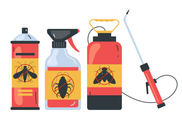 Wasp Removal Services in Pleasantville, NJ