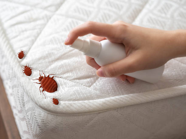 Best Cockroach Control Services  in Pleasantville, NJ