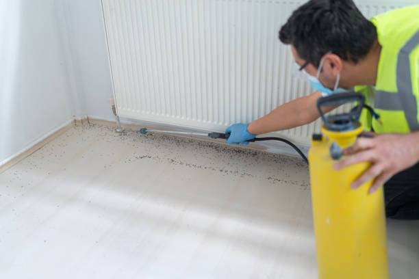Best Affordable Pest Control Services  in Pleasantville, NJ