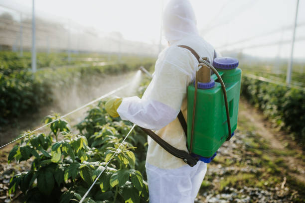 Best Pest Prevention Services  in Pleasantville, NJ